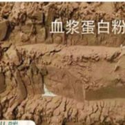 Ψεκασμός κατασκευαστών πρόσθετων ουσιών τροφών πουλερικών - ξηρά πρωτεϊνική σκόνη πλάσματος παπιών, προηγμένη τεχνολογία επεξεργασίας, στιγμιαίο Hig